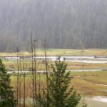 Conuma River Estuary, Vancouver Island, BC