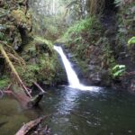 Goldstrem Park Falls, Waterfalls, Vancouver Island, BC