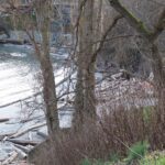 Gonzales Bay, Vancouver Island, BC