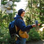 Gray Jay, Vancouver Island, BC
