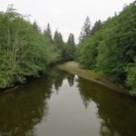 Goodspeed River Estuary, Vancouver Island, BC