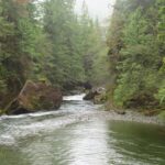 Leiner River, Vancouver Island, BC