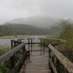 Leiner River Estuary, Vancouver Island, BC