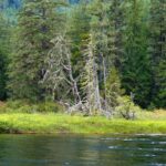 Lakes, Mccrieght Lake, Vancouver Island, BC