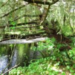 Menzies Bay, Vancouver Island, BC