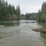 Nimpkish River, Vancouver Island, BC