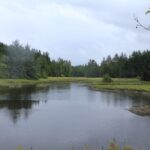Quatse River Estuary, Vancouver Island, BC