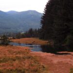 Estuaries, Salmon River Estuary, Vancouver Island, BC