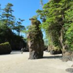 Bays, San Josep Bay, Vancouver Island, BC