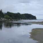 San Juan River Estuary, Vancouver Island, BC