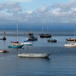 Bays, Smelt Bay, Vancouver Island, BC