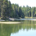 Spider Lake, Vancouver Island, BC