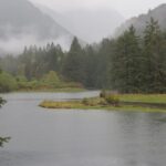 Estuaries, Gold River Estuary, Vancouver Island, BC