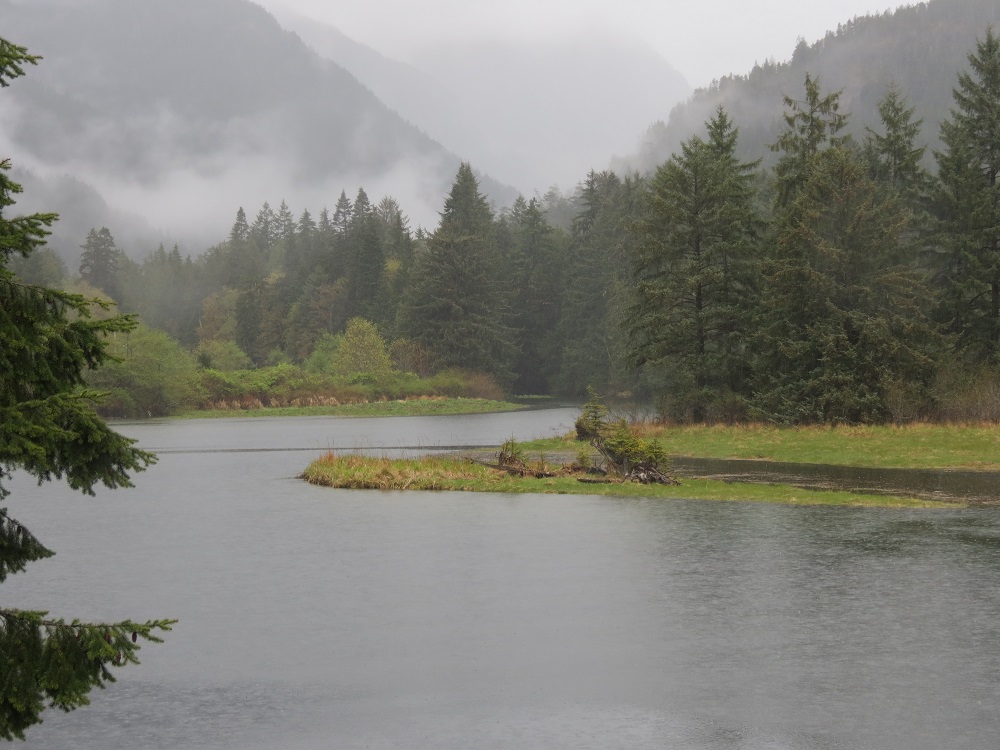 Gold River Estuary, Vancouver Island, BC Gold River Estuary, Vancouver Island, BC