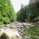Rivers, Adam River, Vancouver Island, BC