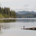 Victoria Lake, Vancouver Island, BC
