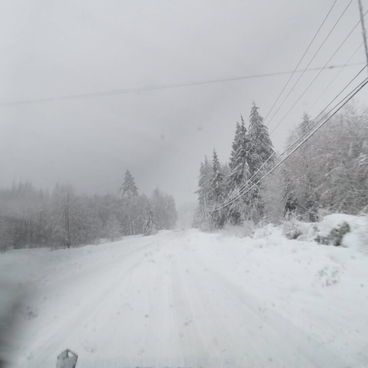The Big Snow The Big Snow