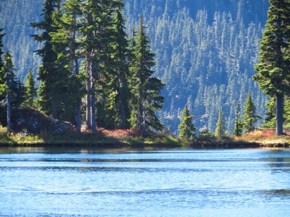 Strathcona Park, Photo By Bud Logan Strathcona Park, Photo By Bud Logan
